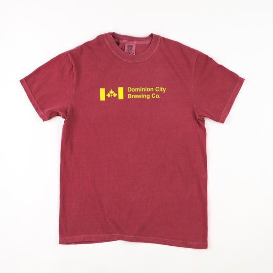 DCBC Ministry of Camping T-Shirt