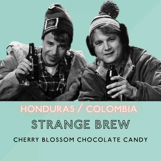 The Artery Community Roasters - Strange Brew