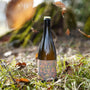Wilderness Gothic Riesling
