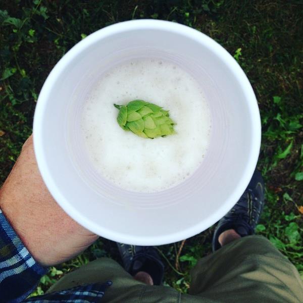 Good beer grows here.