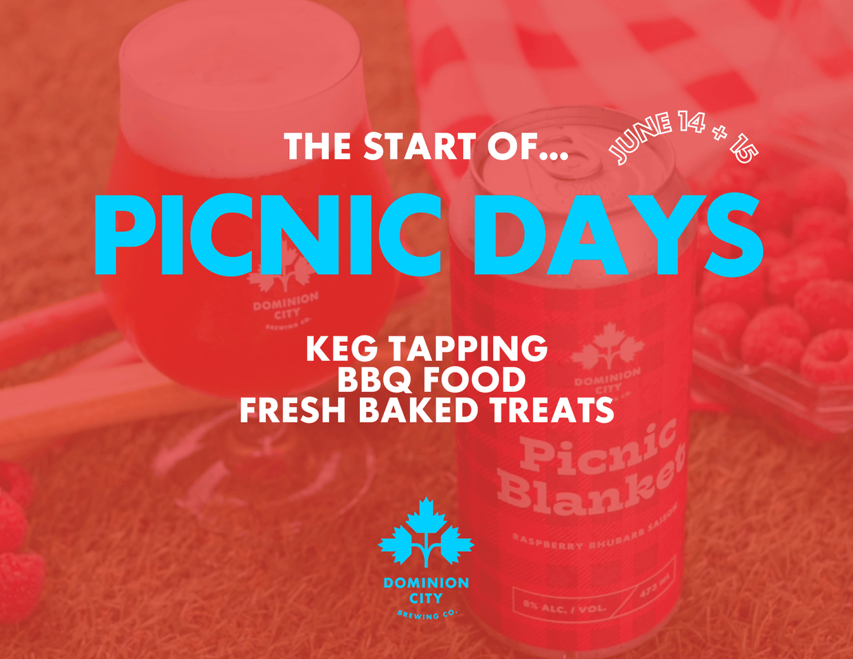 Picnic Days 2024