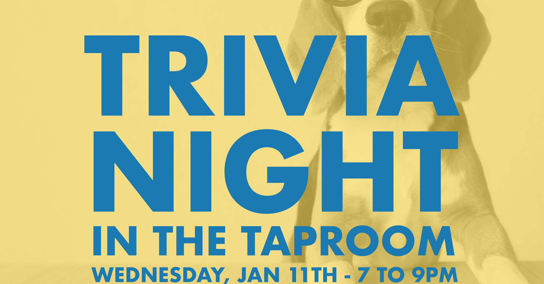 Trivia Night at the brewery!