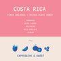 Rogue Wave Coffee Samplers