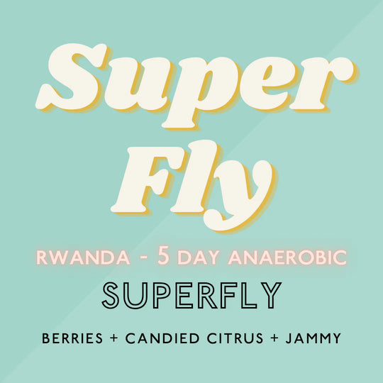 The Artery Community Roasters - Superfly