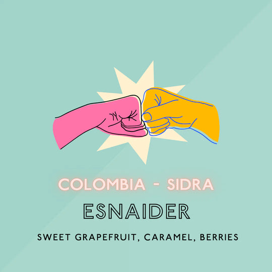 The Artery Community Roasters - Esnaider