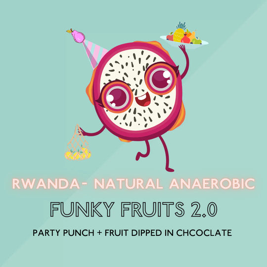 The Artery Community Roasters - Funky Fruits 2.0