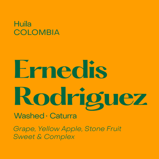 Subtext Coffee - Ernedis Rodriguez
