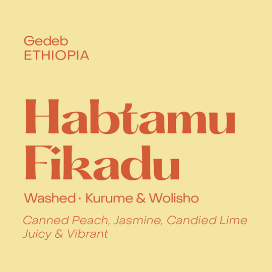 Subtext Coffee - Ethiopia Habtamu Fikadu