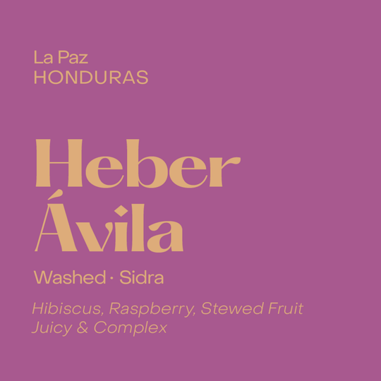 Subtext Coffee - Honduras Heber Avila