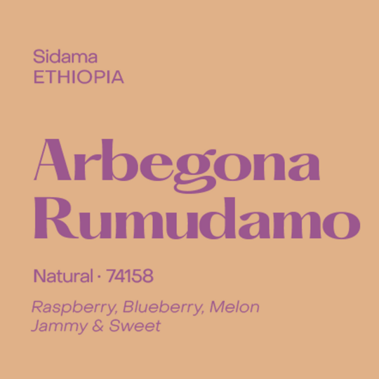 Subtext Coffee - Ethiopia Arbegona Rumudamo