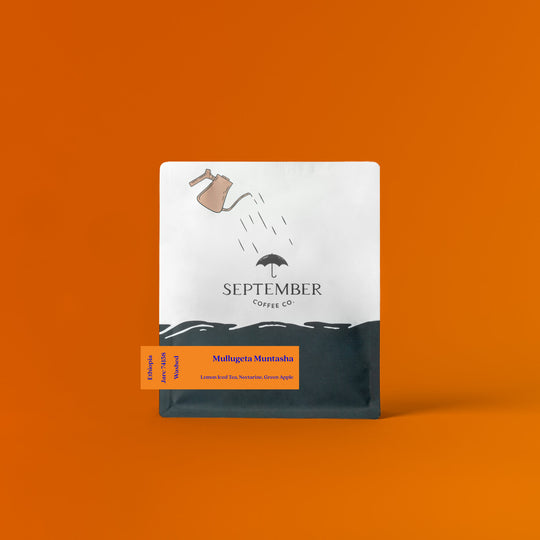 September Coffee - Mullugeta Muntasha