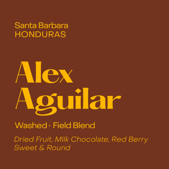 Subtext Coffee - Honduras Alex Aguilar