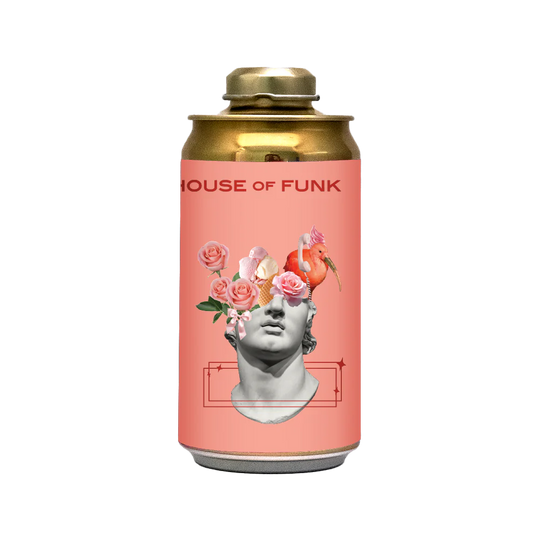 House of Funk - Several Shades of Why