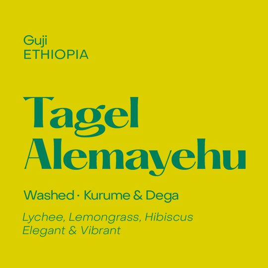 Subtext Coffee - Ethiopia Tagel Alemayehu