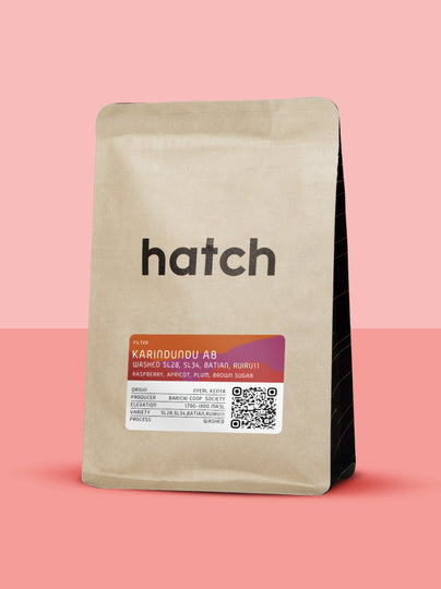 Hatch Coffee - Kenya, Karindundu AB Washed