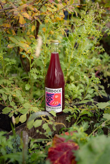 Burdock - Demirossa 750ml