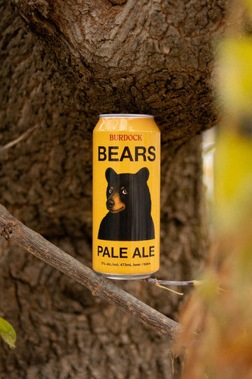 Burdock - Bears 473ml