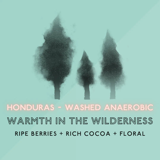 The Artery Community Roasters - Warmth In The Wilderness