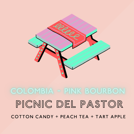 The Artery Community Roasters - Picnic del Pastor